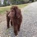 Gary Early - Facebook