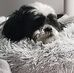 Gary T Eber - Facebook