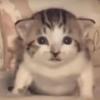 Gary Ebert - @garyebert821 - TikTok