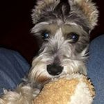 Gary Ebert - @gebert7x7 - Instagram