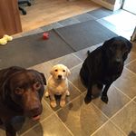 Gary Eccles - @eccles728 - Instagram