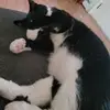 garyeddy941 - @garyeddy941 - TikTok