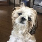 Gary Eilers - @gary.eilers.3 - Instagram