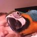 Gary Eilers - Facebook