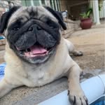 Gary Eisenhuth - @gary_eisenhuth - Instagram
