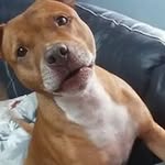 Gary England - @gary.england.75033 - Instagram
