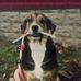 Gary Engel - Facebook