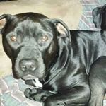 Gary Engel - @gary.engel46 - Instagram