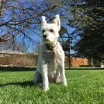 Gary - @gary_engler - Instagram