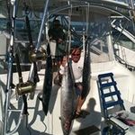 Gary Evenson - @evensongary - Instagram