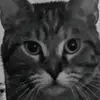 user2145486844002 - @gary_stevenson - TikTok