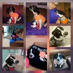 Gary Falcone - @gary.falcone.756 - Instagram