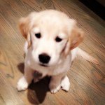 Gary Fallon - @gary_fallon - Instagram