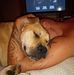 Gary Owen Farr - Facebook