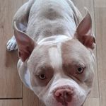 Gary 85 - @garyfarthing14320 - Instagram
