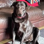Gary Featherstone - @gary.featherstone - Instagram