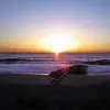 Gary Federico - @gary.federico6 - TikTok