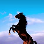 Gary Fee - @garyfee7 - Instagram