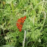 Gary Fell - @gwfell - Instagram