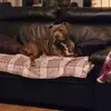 Gary Fellows - @gary.fellows8 - TikTok