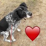 Jenny Diederich - @fellnase_gary_2009 - Instagram