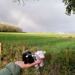 Gary + Finley - @adventureswithgaryandfinley - Instagram
