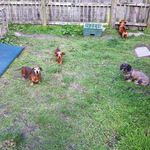 Gary Finley - @garyfinley51476 - Instagram