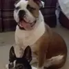garyfinley49 - @garyfinley49 - TikTok