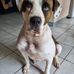 Gary Flatt - Facebook
