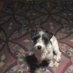Gary Flatt - @f0rnatur303 - Instagram