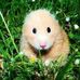 Gary Fleishman - Facebook