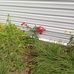 Gary Fleming - Facebook
