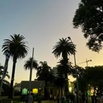 Gary Fogle - @maizonalely - Instagram