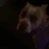 Gary foreman - @britanyburt - TikTok
