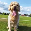garyforster75 - @garyforster75 - TikTok