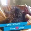 Pamela Gary Fraley - @user70357798 - TikTok
