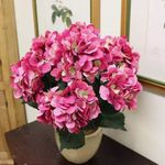 Gary Fredrick - @gary_f001 - Instagram