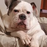 Gary Fredrickson - @garyfredrickson - Instagram