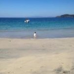 Gary Friedman - @gfrid117 - Instagram