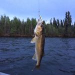 Garyfriesen - @garyfriesen9663 - Instagram