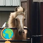 Gary J Frink - @garyfrink - Instagram