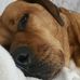 Gary Frith - Facebook