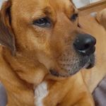 Gary Frith - @jaxevawalle - Instagram