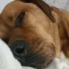 garyfrith561 - @garyfrith561 - TikTok