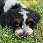 Gary Fuller - @garyfuller610 - Instagram