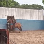 Gary Gabriel - @vaqueiro_gabriel_m - Instagram