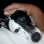 Gary Gallino - @garygallino - Instagram