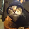 garygallardoslv - @garygallardoslv - TikTok