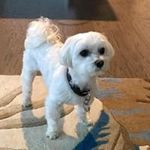 Gary Gardner - @garygardner2961 - Instagram
