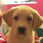 Gary.Gardner - @gary_gardnerrrrrrr - Instagram